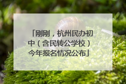 刚刚，杭州民办初中（含民转公学校）今年报名情况公布