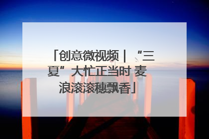 创意微视频｜“三夏”大忙正当时 麦浪滚滚穗飘香