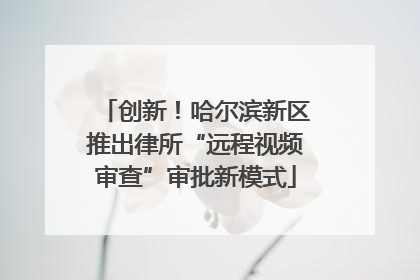 创新！哈尔滨新区推出律所“远程视频审查”审批新模式