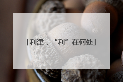 利津，“利”在何处