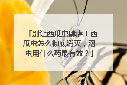 别让西瓜虫肆虐！西瓜虫怎么彻底消灭，潮虫用什么药最有效？