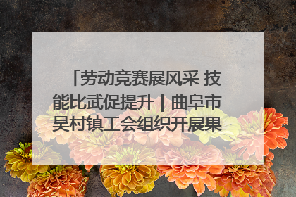 劳动竞赛展风采 技能比武促提升｜曲阜市吴村镇工会组织开展果树套袋技能竞赛