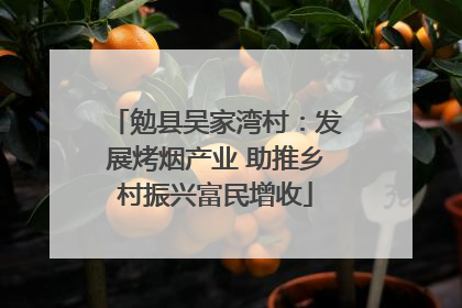 勉县吴家湾村：发展烤烟产业 助推乡村振兴富民增收