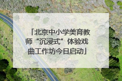 北京中小学美育教师“沉浸式”体验戏曲工作坊今日启动