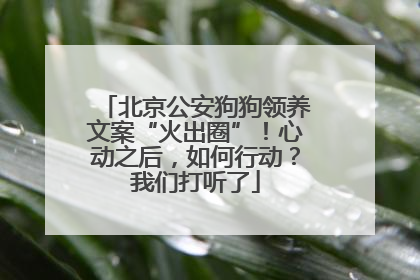 北京公安狗狗领养文案“火出圈”！心动之后，如何行动？我们打听了