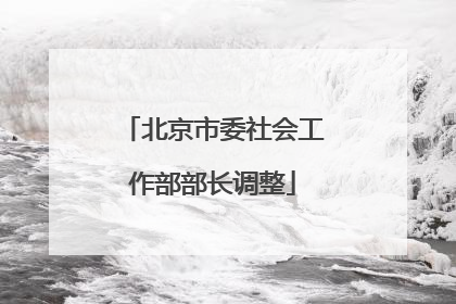 北京市委社会工作部部长调整