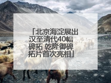 北京海淀展出汉至清代40幅碑拓 乾隆御碑拓片首次亮相