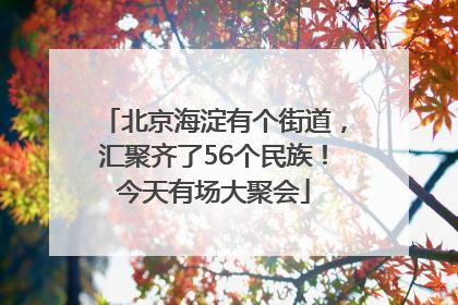 北京海淀有个街道，汇聚齐了56个民族！今天有场大聚会