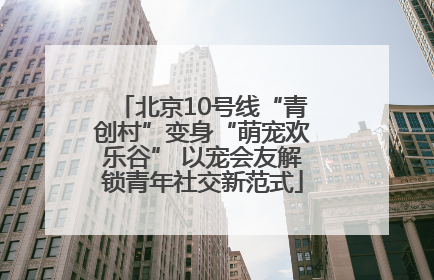 北京10号线“青创村”变身“萌宠欢乐谷” 以宠会友解锁青年社交新范式