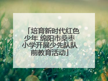 培育新时代红色少年 绵阳市桑枣小学开展少先队队前教育活动
