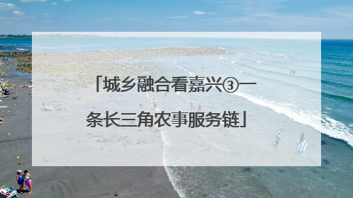 城乡融合看嘉兴③一条长三角农事服务链