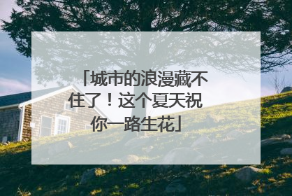 城市的浪漫藏不住了！这个夏天祝你一路生花