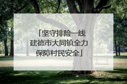 坚守排险一线 建德市大同镇全力保障村民安全