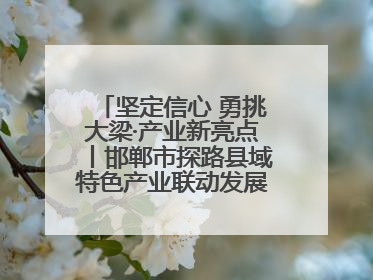 坚定信心 勇挑大梁·产业新亮点丨邯郸市探路县域特色产业联动发展：飞地，为好项目跨域安个家