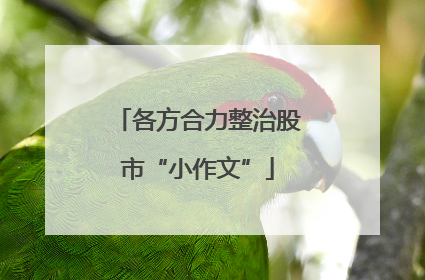 各方合力整治股市“小作文”
