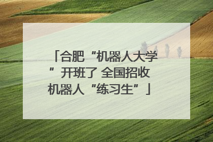 合肥“机器人大学”开班了 全国招收机器人“练习生”