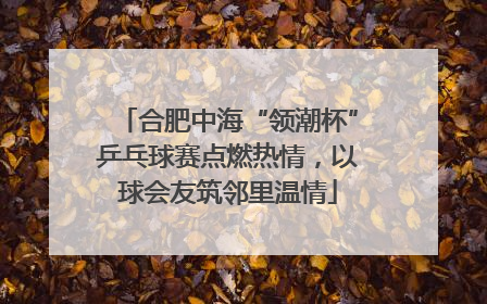 合肥中海“领潮杯”乒乓球赛点燃热情，以球会友筑邻里温情