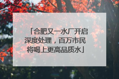 合肥又一水厂开启深度处理，百万市民将喝上更高品质水