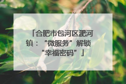 合肥市包河区淝河镇：“微服务”解锁“幸福密码”