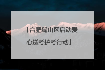 合肥蜀山区启动爱心送考护考行动