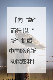 向“新”而行 以“新”提质 中国经济新动能澎湃