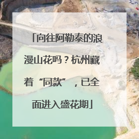 向往阿勒泰的浪漫山花吗？杭州藏着“同款”，已全面进入盛花期