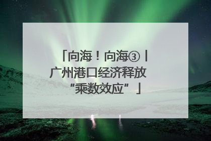 向海！向海③丨广州港口经济释放“乘数效应”