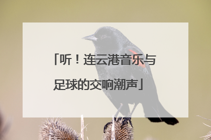 听！连云港音乐与足球的交响潮声