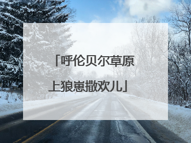 呼伦贝尔草原上狼崽撒欢儿