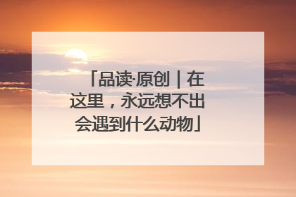 品读·原创｜在这里，永远想不出会遇到什么动物
