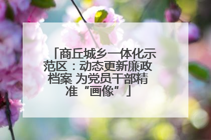 商丘城乡一体化示范区：动态更新廉政档案 为党员干部精准“画像”
