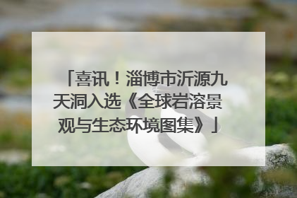 喜讯！淄博市沂源九天洞入选《全球岩溶景观与生态环境图集》