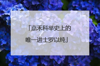嘉禾科举史上的唯一进士罗以纯
