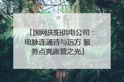 国网庆阳供电公司：电脉连通诗与远方 服务点亮露营之光