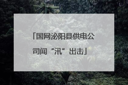 国网泌阳县供电公司闻“汛”出击