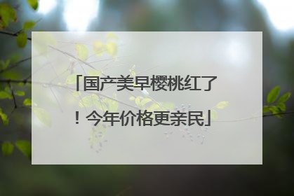 国产美早樱桃红了！今年价格更亲民
