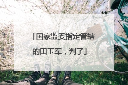 国家监委指定管辖的田玉军，判了
