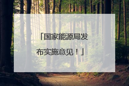 国家能源局发布实施意见！