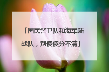 国民警卫队和海军陆战队，别傻傻分不清