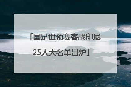 国足世预赛客战印尼25人大名单出炉