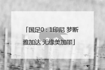 国足0∶1印尼 梦断雅加达 无缘美加墨