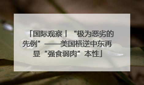 国际观察丨“极为恶劣的先例”——美国横逆中东再显“强食弱肉”本性