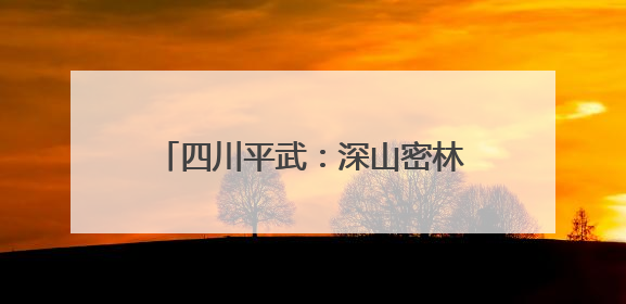 四川平武：深山密林里的“金色精灵”
