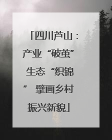 四川芦山：产业“破茧” 生态“织锦” 擘画乡村振兴新貌