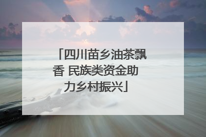 四川苗乡油茶飘香 民族类资金助力乡村振兴