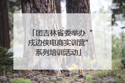 团吉林省委举办“戍边侠电商实训营”系列培训活动