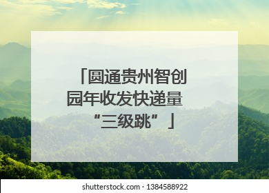 圆通贵州智创园年收发快递量“三级跳”