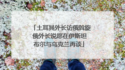 土耳其外长访俄斡旋 俄外长说愿在伊斯坦布尔与乌克兰再谈
