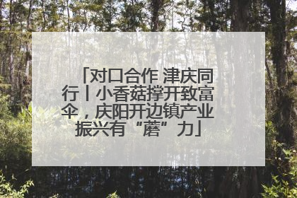 对口合作 津庆同行丨小香菇撑开致富伞，庆阳开边镇产业振兴有“蘑”力