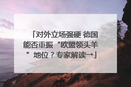 对外立场强硬 德国能否重振“欧盟领头羊”地位？专家解读→